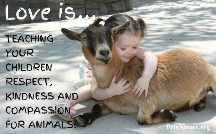 Teaching Compassion: Bringing Animal Rights into Education 1 Teaching Compassion: Bringing Animal Rights into Education June 2025