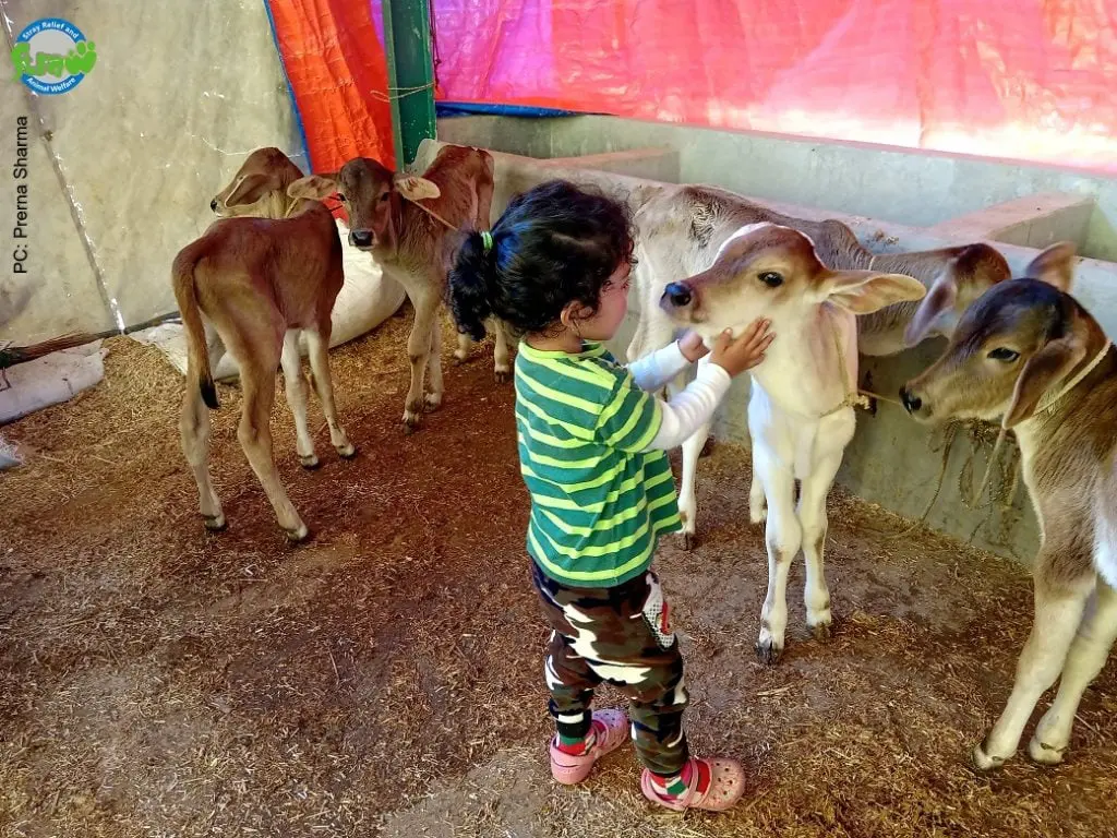 Teaching Compassion: Bringing Animal Rights into Education 2 Teaching Compassion: Bringing Animal Rights into Education June 2025