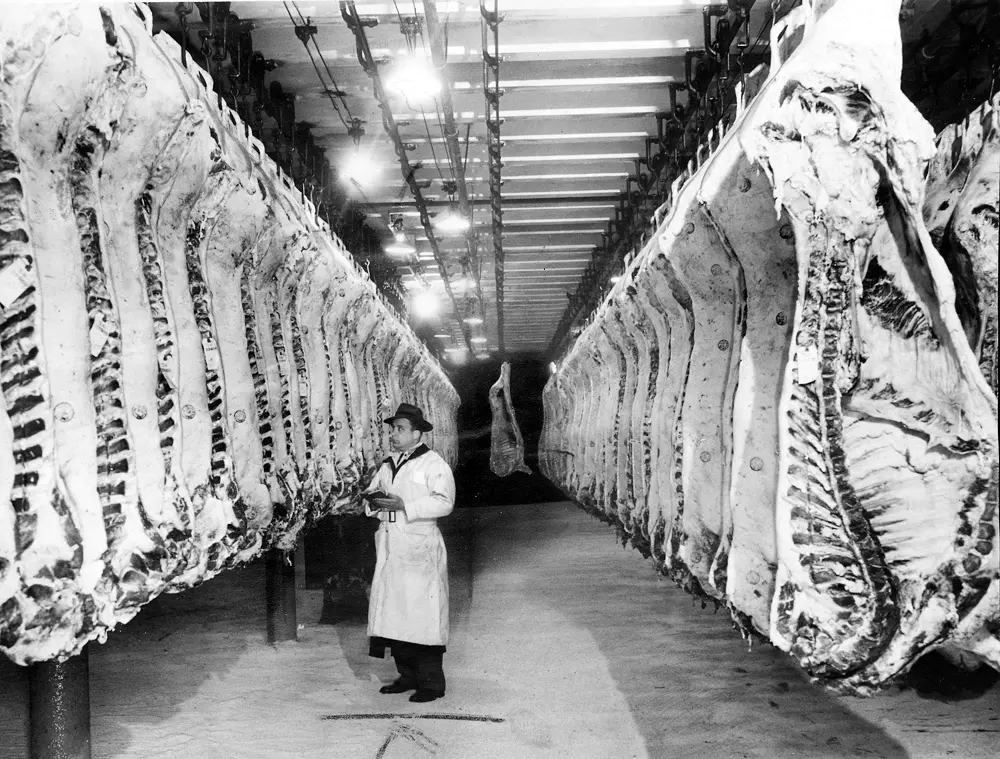 Exploring the Cultural and Social Factors That Influence Meat Consumption in Humans 1 Exploring the Cultural and Social Factors That Influence Meat Consumption in Humans June 2025