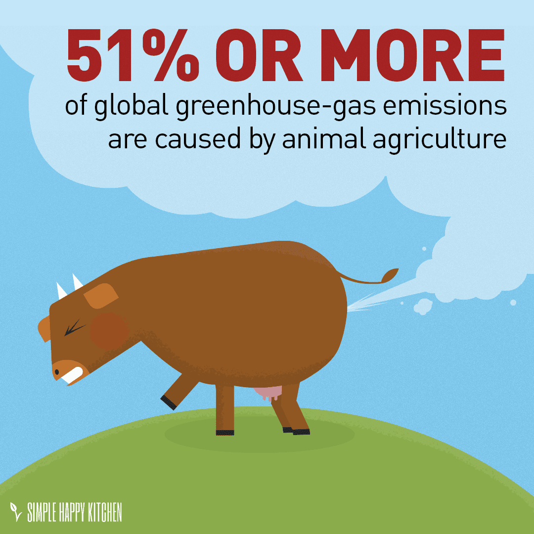 Uncovering the Environmental Impact of Meat Production: Deforestation, Greenhouse Gas Emissions, and Sustainable Alternatives August 2025