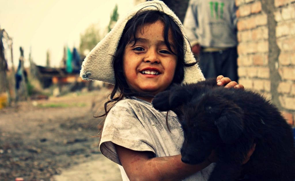 Exploring How Poverty Fuels Animal Cruelty: Causes, Challenges, and Solutions August 2025