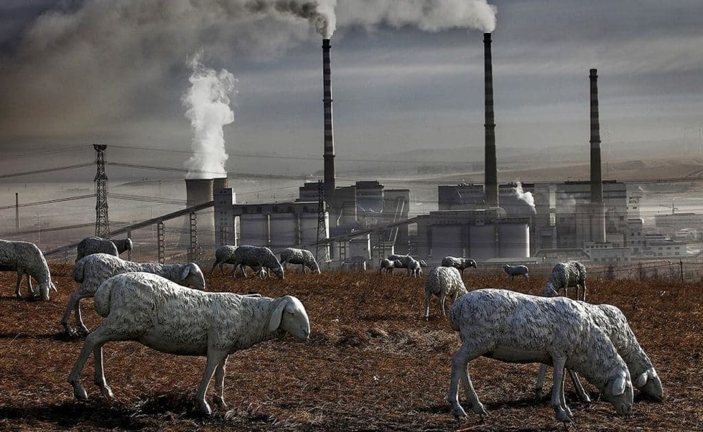 Mėsos vartojimo ir klimato kaitos ryšio tyrimas, 2025 m. rugpjūtis