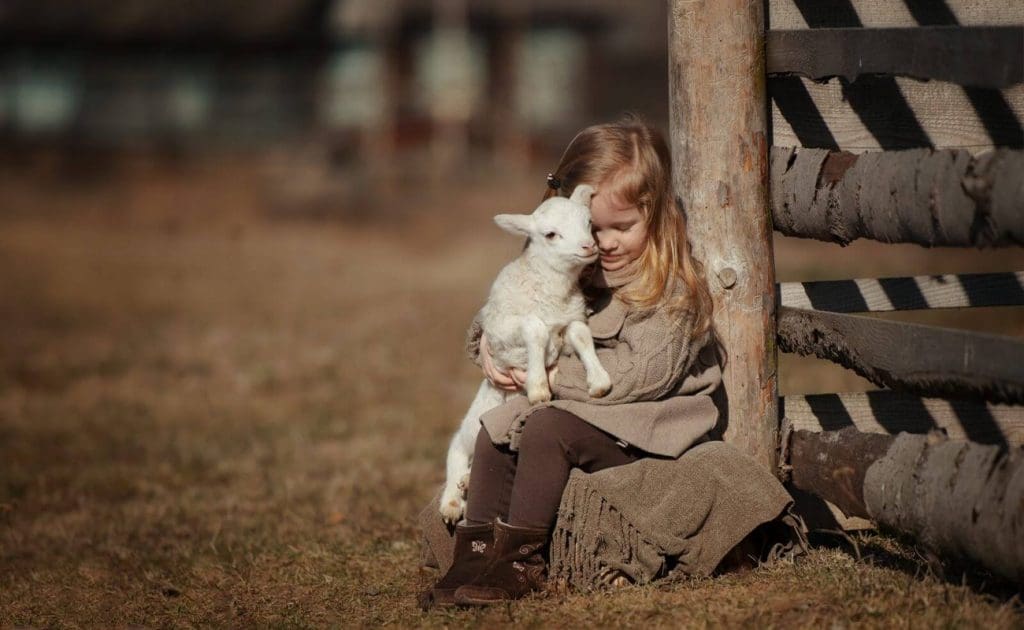 Veganîzma Exlaqî û Mafên Heywanan: Lêkolîna Hilbijartinên Dilovan ji bo Jîyanek Bê Zulm Tebax 2025
