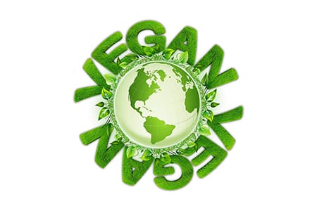 Raziskovanje usklajenosti veganstva s socialno pravičnostjo: pravice živali, enakost in trajnost, avgust 2025