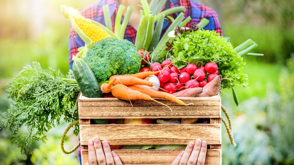 How Animal Agriculture Drives Species Extinction: Habitat Loss, Biodiversity Decline, and Environmental Impact August 2025