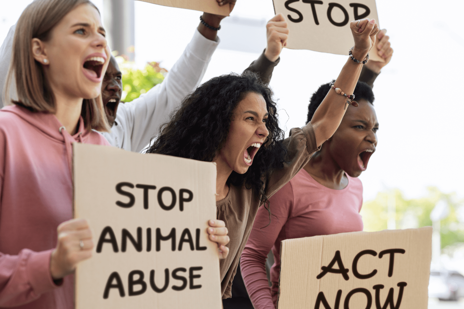 Paano Nilalabanan ng Mga Organisasyon ng Animal Welfare ang Animal Cruelty: Adbokasiya, Pagsagip, at Edukasyon Agosto 2025