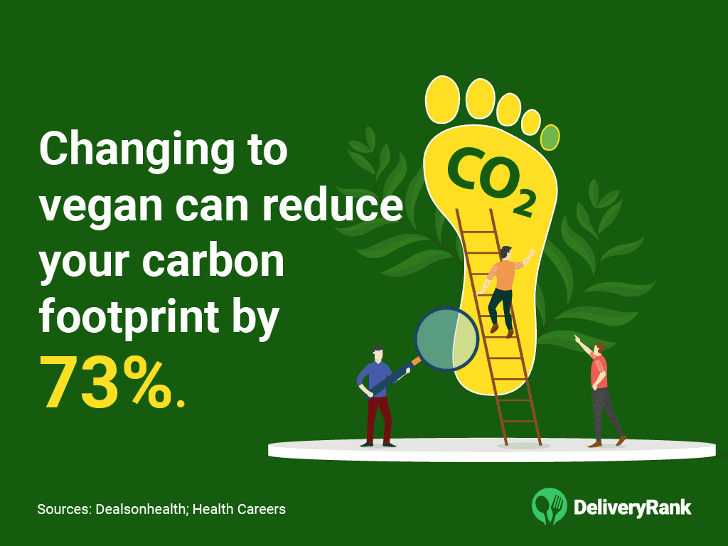 Creating a More Sustainable Future Through Veganism August 2025