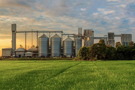 Los costos ocultos de la ganadería industrial (agosto de 2025)