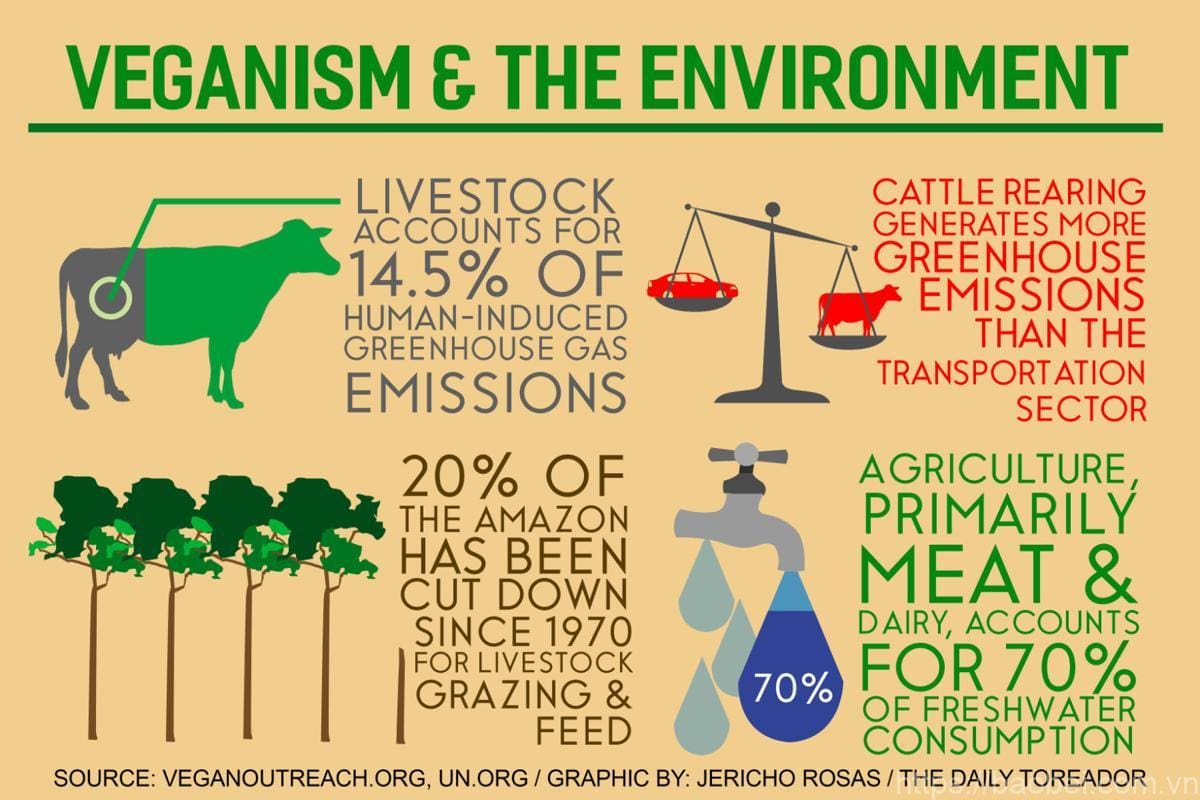 The Health Benefits of a Vegan Diet August 2025