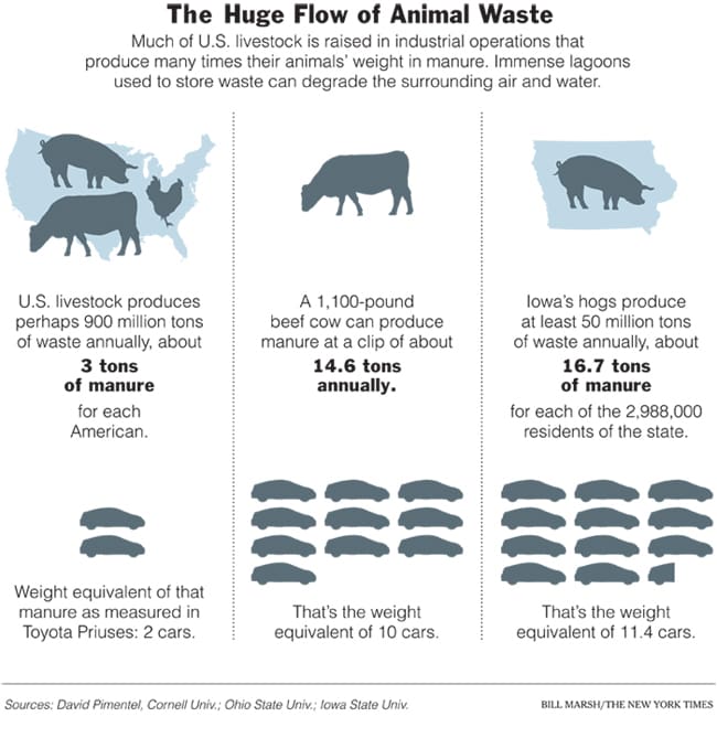 The Impact of Livestock Farming on Biodiversity Loss August 2025