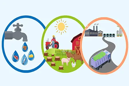 Hayvancılığın Çevresel Etkisi: Et Üretimi Gezegeni Nasıl Etkiliyor ve Sürdürülebilir Beslenme Seçimlerini Nasıl Şekillendiriyor? Ağustos 2025