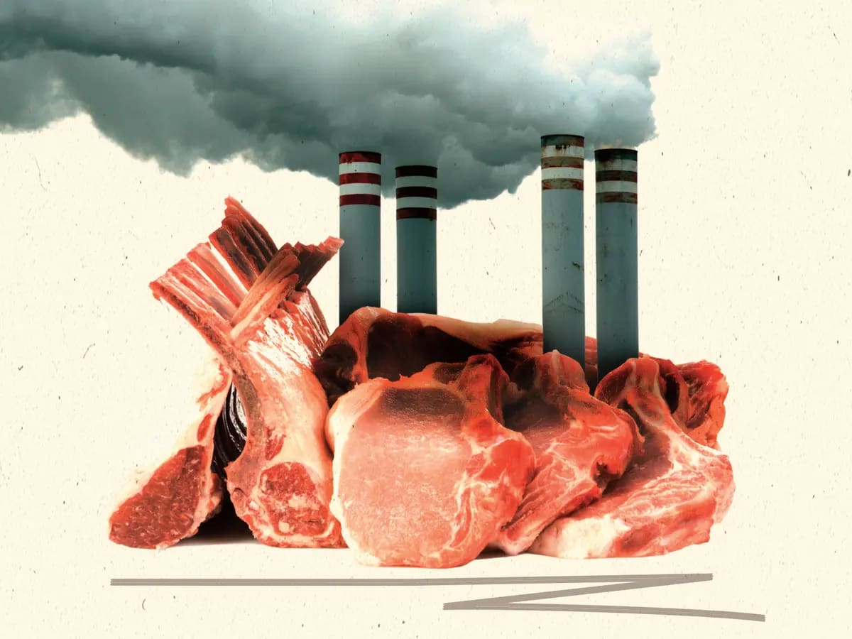 Uncovering the Environmental Impact of Meat Production: Deforestation, Greenhouse Gas Emissions, and Sustainable Alternatives August 2025