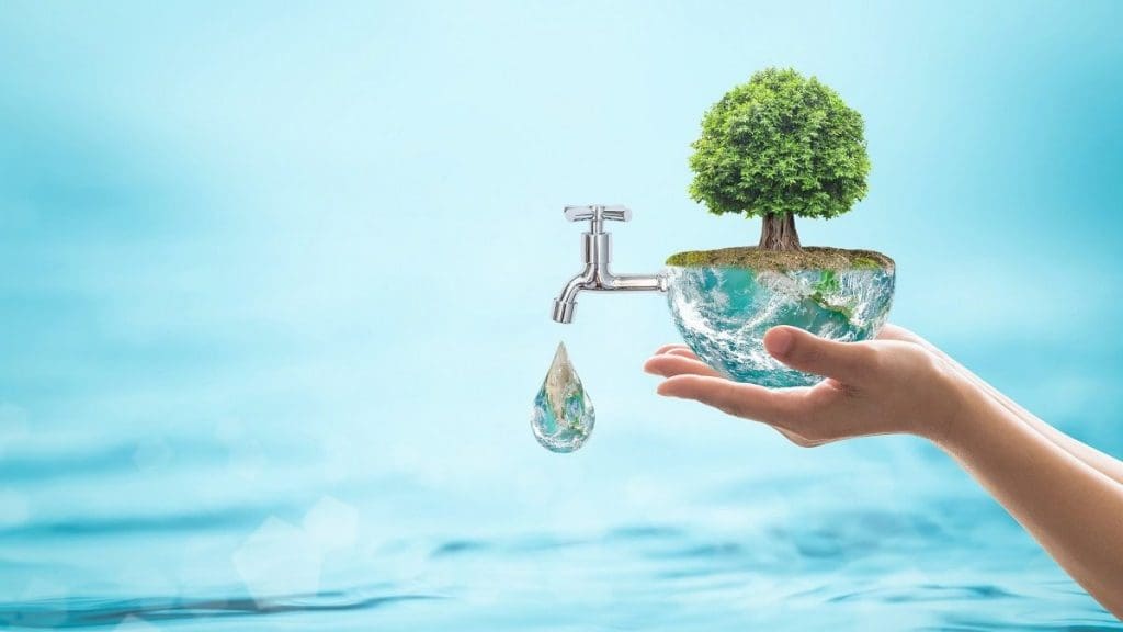 Kako rastlinska prehrana zmanjšuje ogljični odtis, ohranja vire in varuje planet, avgust 2025
