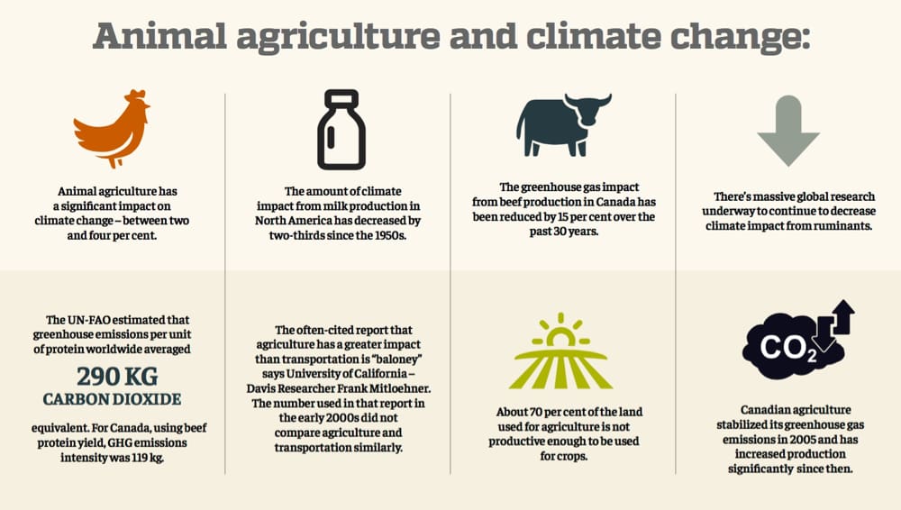 Vida compasiva a través del veganismo: opciones éticas para la salud, la sostenibilidad y el bienestar animal (agosto de 2025)