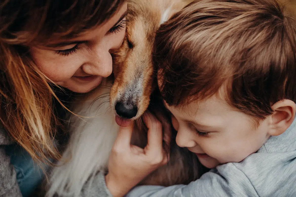 The Link Between Animal Cruelty and Child Abuse: Understanding the Cycle of Violence August 2025