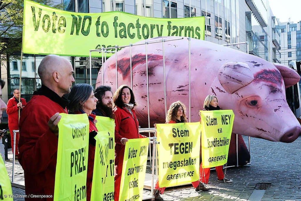 Veganîzma Exlaqî û Mafên Heywanan: Lêkolîna Hilbijartinên Dilovan ji bo Jîyanek Bê Zulm Tebax 2025