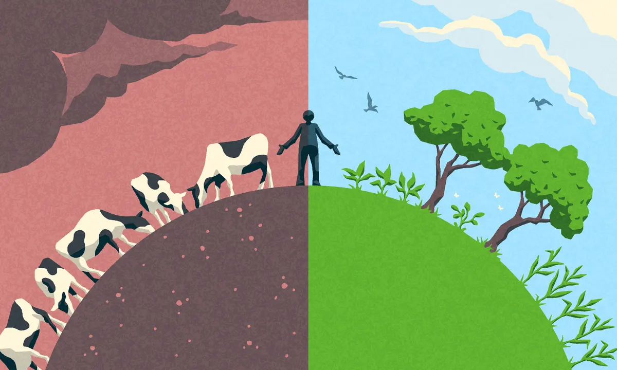 How Reducing Meat Consumption Boosts the Economy, Supports Sustainability, and Benefits Society August 2025