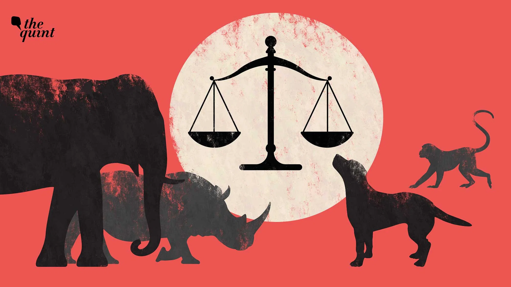 動物虐待法律,道德挑戰和爭取正義的鬥爭:解決虐待和促進同情1 動物虐待法律,道德挑戰和爭取正義的鬥爭:解決虐待和促進同情心2025年6月