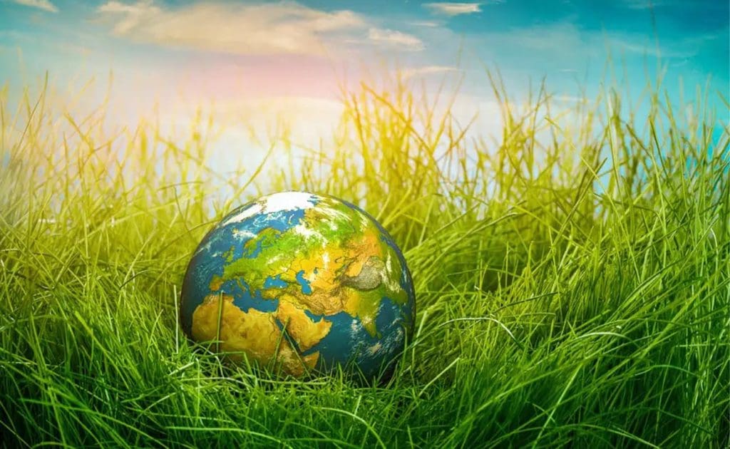 Wie eine pflanzliche Ernährung der Umwelt hilft: Emissionen reduzieren, Wildtiere schützen und Ressourcen schonen – Mahlzeit für Mahlzeit August 2025