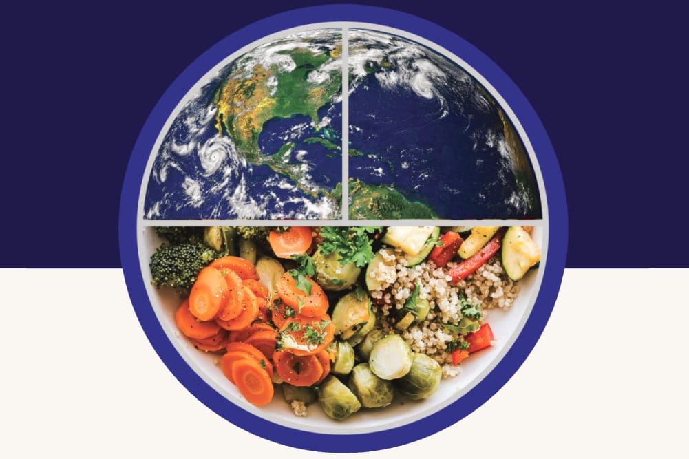The Power of Plant-Based Diets: Health and Environmental Benefits 2 The Power of Plant-Based Diets: Health and Environmental Benefits June 2025