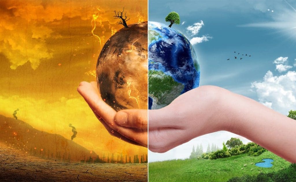 करुणामय जीवन: प्राण्यांचे संरक्षण करण्यासाठी आणि ग्रहाचे रक्षण करण्यासाठी शाकाहारीपणा निवडणे ऑगस्ट २०२५