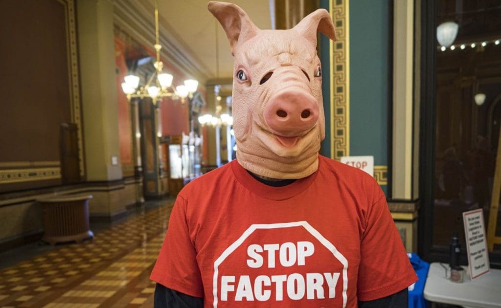 Veganismens roll i att minska djurplågeri på fabriksjordbruk augusti 2025