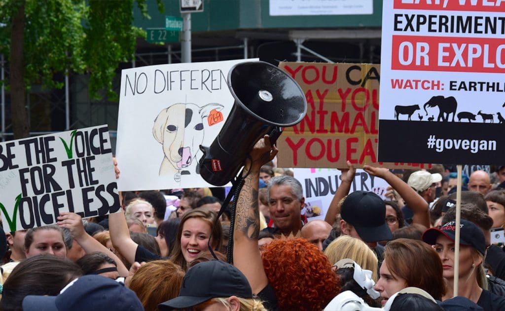 Direitos dos Animais: Uma Responsabilidade Compartilhada para Além das Divisões Políticas Agosto de 2025