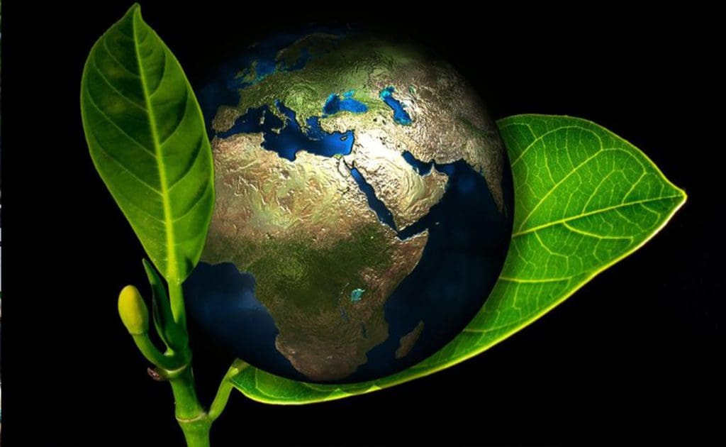 Af hverju vegan lífsstíll er sjálfbærari fyrir plánetuna okkar ágúst 2025