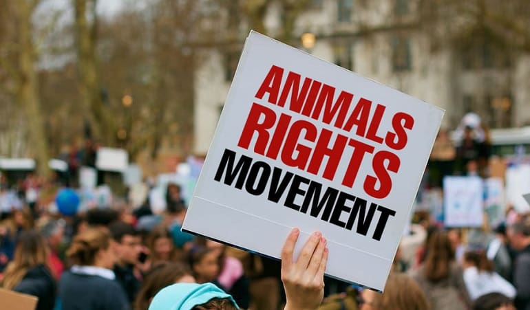 Bridging Political Divides to Advance Animal Rights: Overcoming Barriers and Building Alliances 2 Bridging Political Divides to Advance Animal Rights: Overcoming Barriers and Building Alliances June 2025