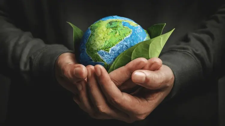Eco-Friendly Eating: Exploring the Environmental Impact of Meat and Dairy Consumption 1 Eco-Friendly Eating: Exploring the Environmental Impact of Meat and Dairy Consumption June 2025