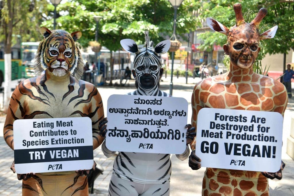 Exploring Veganism Beyond Politics: Bridging Ethics, Sustainability, and Compassion Across All Ideologies 4 Exploring Veganism Beyond Politics: Bridging Ethics, Sustainability, and Compassion Across All Ideologies June 2025
