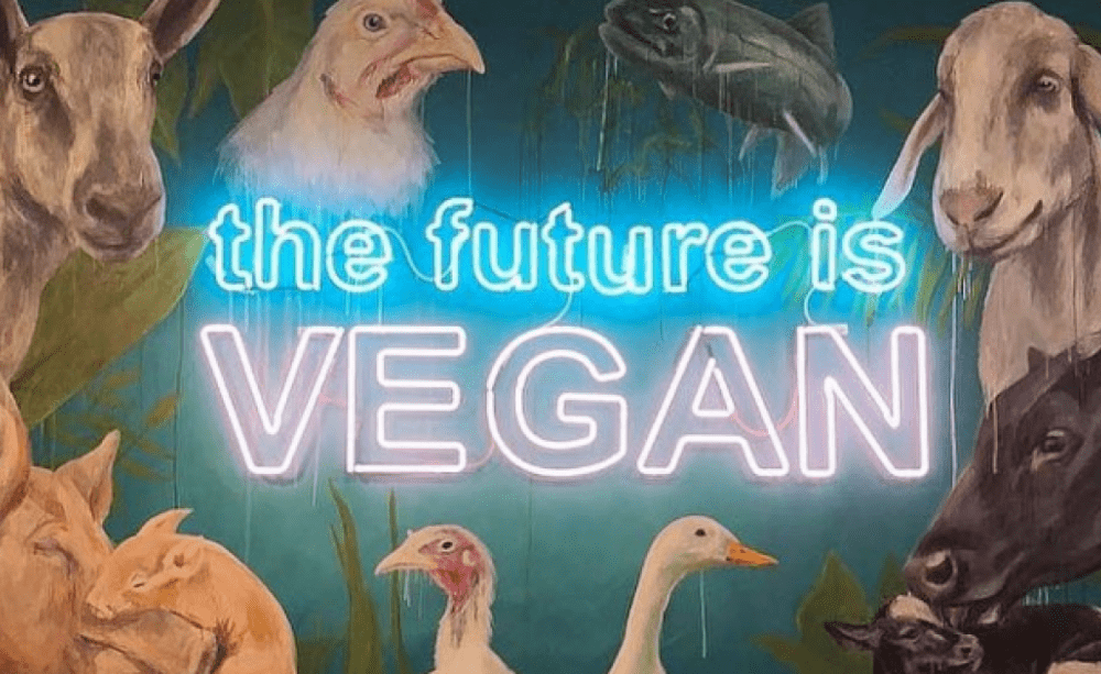 Transforming Lives and Protecting the Planet: The Benefits of a Vegan Lifestyle 4 Transforming Lives and Protecting the Planet: The Benefits of a Vegan Lifestyle June 2025