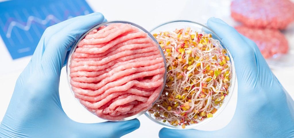 Challenging the Status Quo: Why Humans Don't Need Meat 3 Challenging the Status Quo: Why Humans Don't Need Meat May 2025