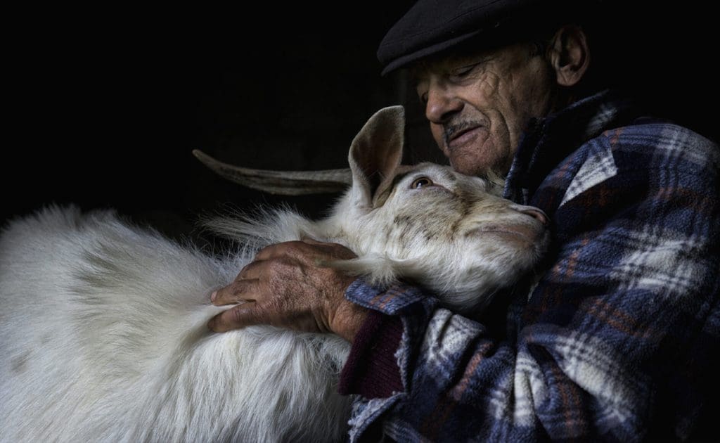 How Religion and Spirituality Inspire Compassion and Ethical Choices for Animals August 2025
