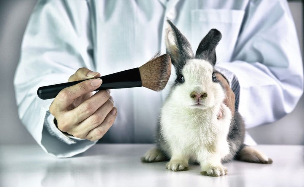 Animal Testing in Scientific Research: Ethical Challenges, Alternatives, and Future Directions August 2025