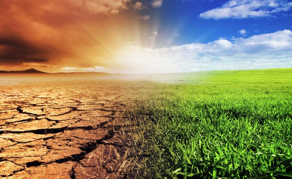 Ramaderia industrial i canvi climàtic: descobrint els costos ambientals de l&#39;agricultura industrial Agost 2025