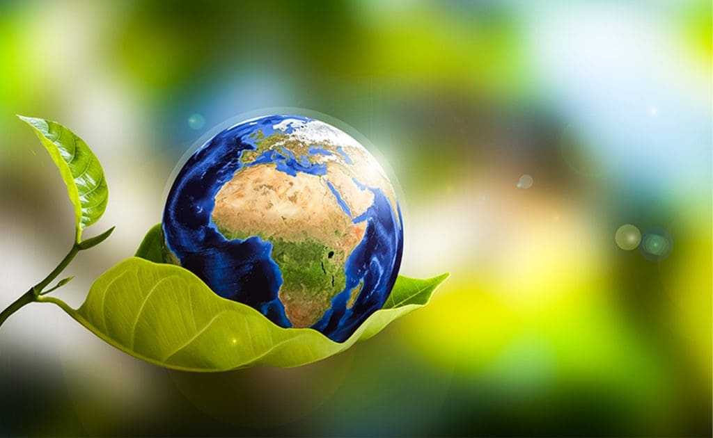 Kaip veganizmas gali išgelbėti mūsų planetą 2025 m. rugpjūtis