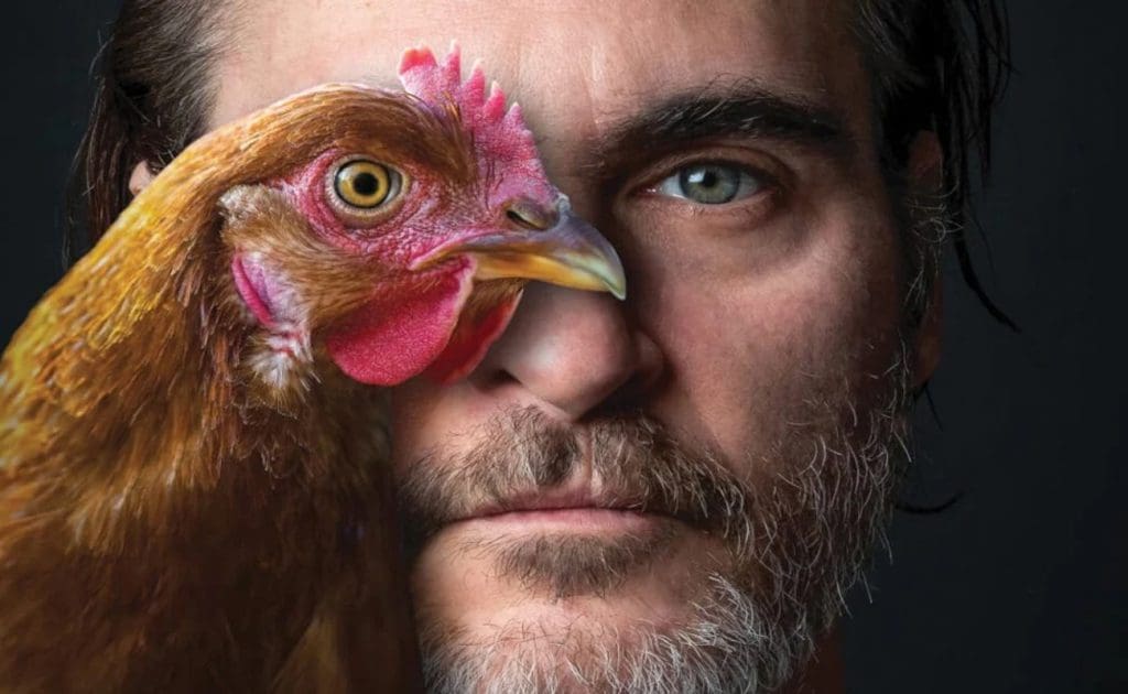 Veganismus als Lebensstil: Ethische Entscheidungen, Umweltauswirkungen und gesundheitliche Vorteile August 2025