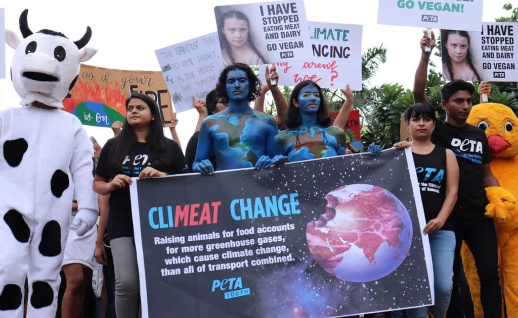 Interseksionalitas Veganisme: Menghubungkan Hak-Hak Hewan dengan Isu-Isu Keadilan Sosial Lainnya Agustus 2025