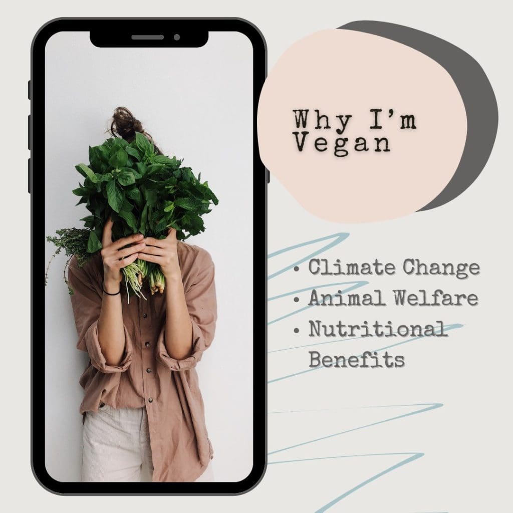 Beyond Meat: The Nutritional Benefits of a Vegan Diet 2 Beyond Meat: The Nutritional Benefits of a Vegan Diet June 2025