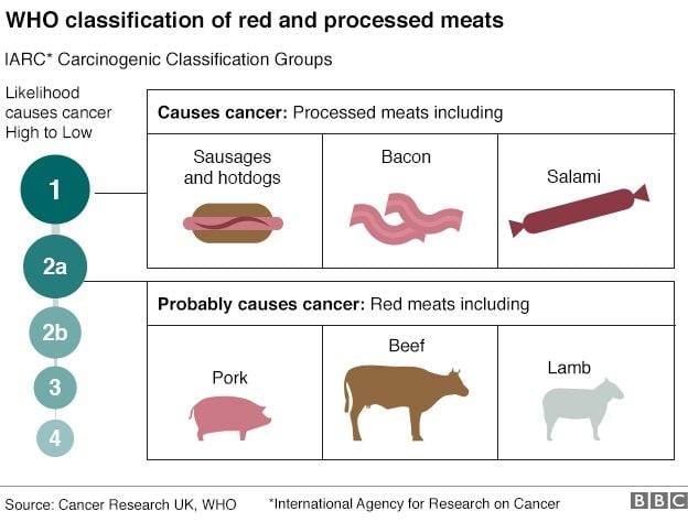 Penggunaan daging yang tinggi dan kesannya terhadap kesihatan: risiko, fakta, dan pilihan pemakanan yang lebih bijak 2 Penggunaan daging yang tinggi dan kesannya terhadap kesihatan: risiko, fakta, dan pilihan pemakanan yang lebih bijak pada bulan Jun 2025