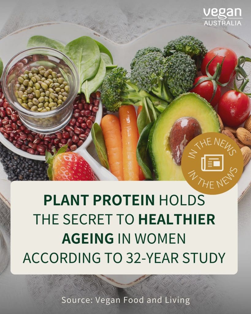 Beyond Cruelty: Embracing a Vegan Diet for Improved Health and Wellness 2 Beyond Cruelty: Embracing a Vegan Diet for Improved Health and Wellness June 2025