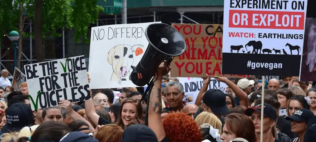 The Link Between Diet and Mental Health: Can Veganism Make You Happier? 3 The Link Between Diet and Mental Health: Can Veganism Make You Happier? June 2025