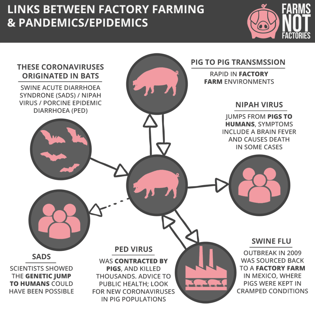 Factory Farms: Breeding Grounds for Disease and Environmental Degradation 2 Factory Farms: Breeding Grounds for Disease and Environmental Degradation June 2025