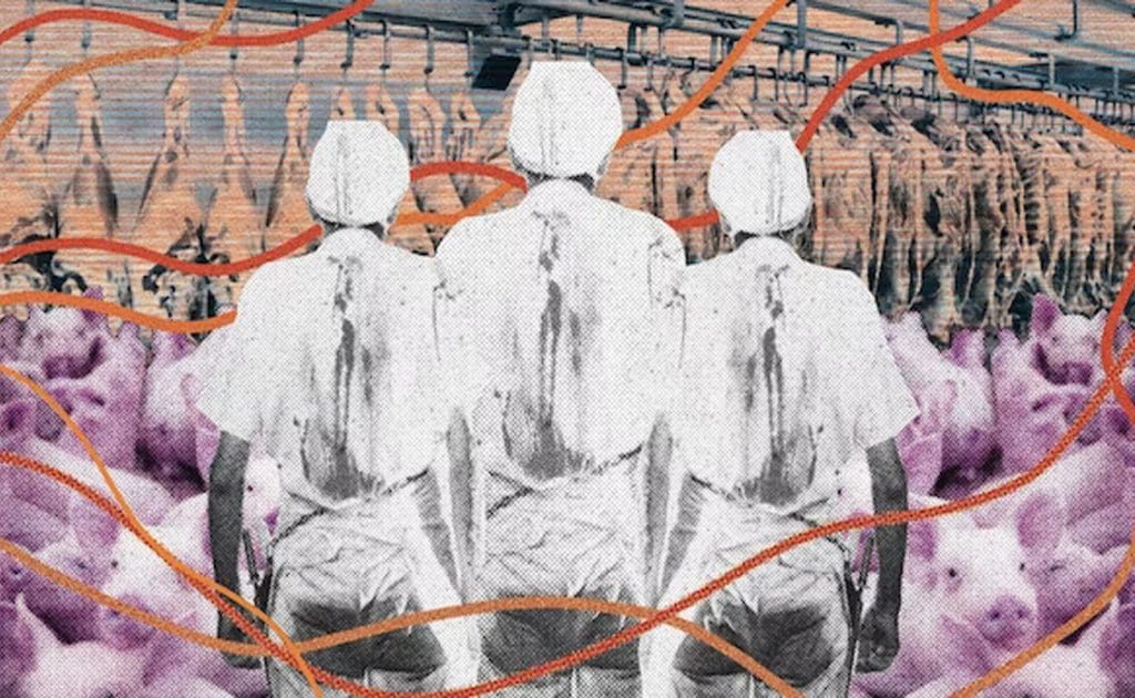 The Psychological Toll of Working in Animal Agriculture 1 The Psychological Toll of Working in Animal Agriculture June 2025