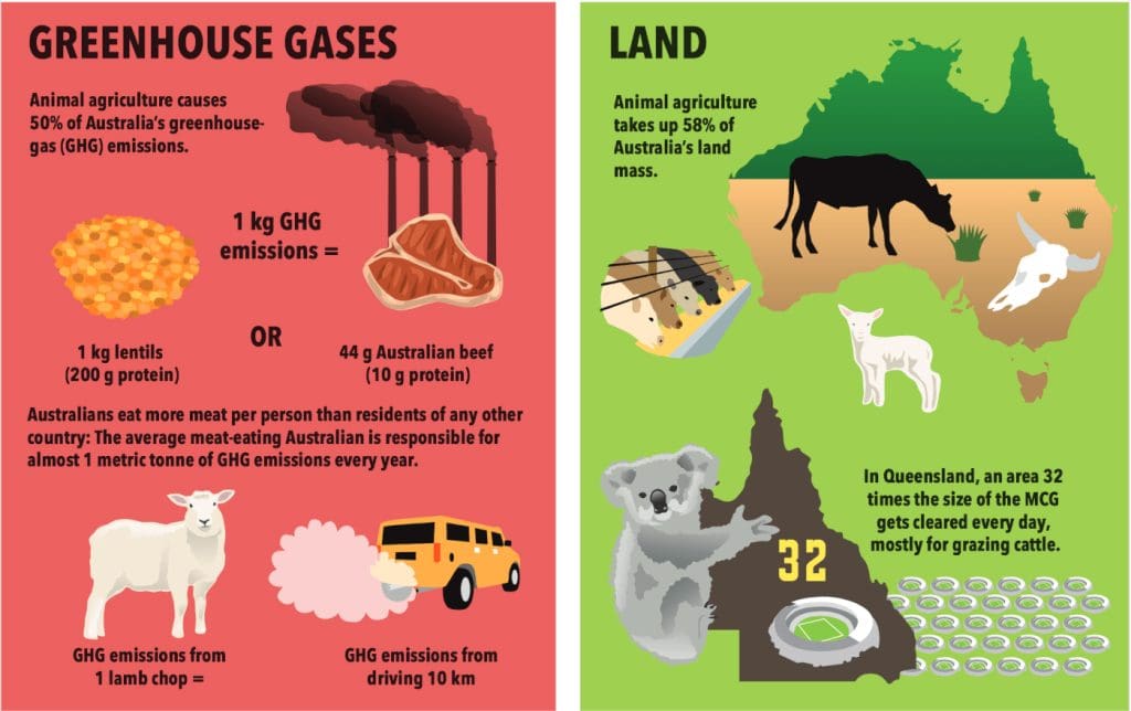 Exposing Factory Farming Cruelty: The Shocking Truth Behind Your Everyday Food Choices 2 Exposing Factory Farming Cruelty: The Shocking Truth Behind Your Everyday Food Choices June 2025