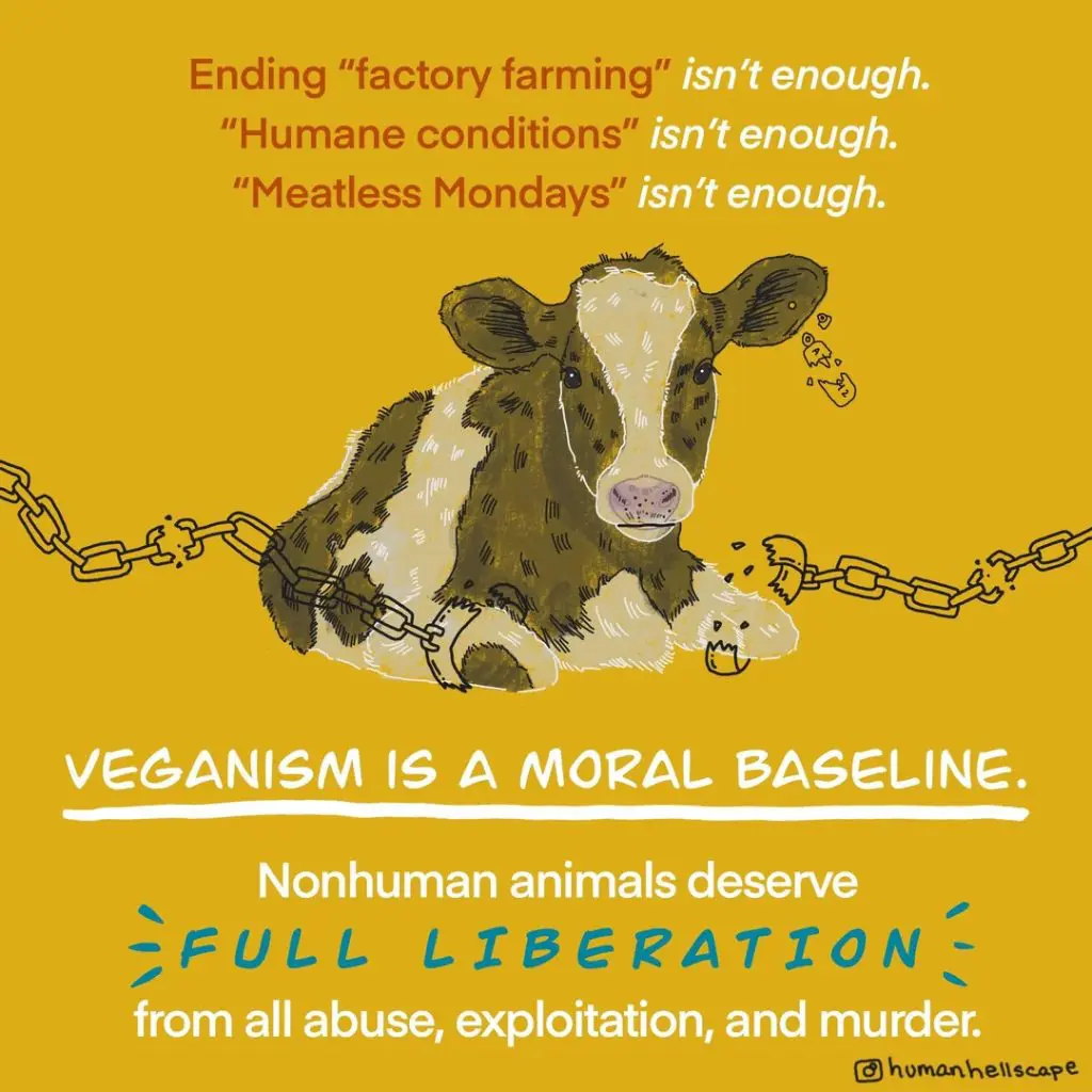 How Veganism Can Help End Animal Cruelty in Factory Farms 4 How Veganism Can Help End Animal Cruelty in Factory Farms June 2025
