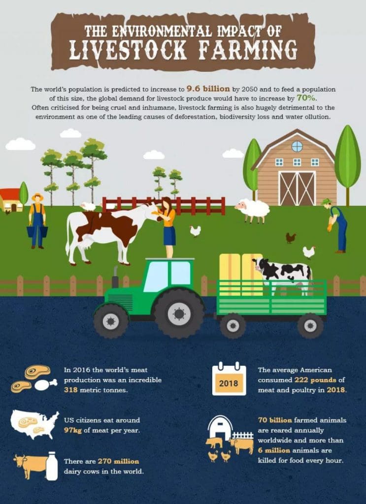 Eating Green: The Link Between Diet, Cruelty, and Environmental Impact 3 Eating Green: The Link Between Diet, Cruelty, and Environmental Impact June 2025