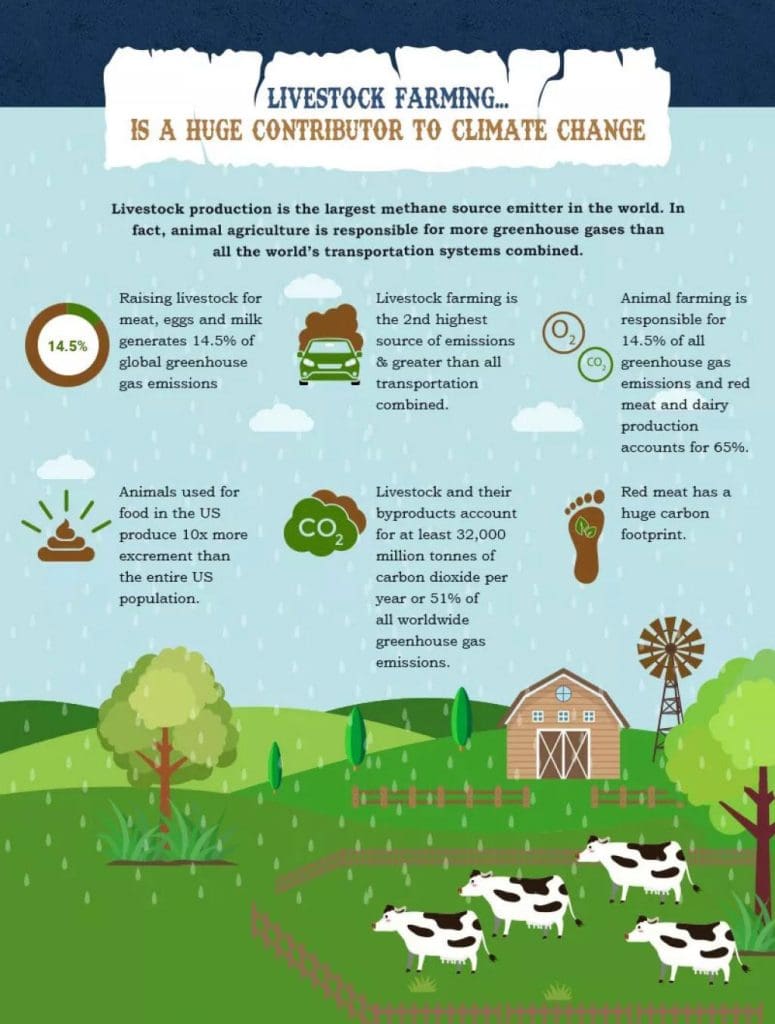 Eating Green: The Link Between Diet, Cruelty, and Environmental Impact 4 Eating Green: The Link Between Diet, Cruelty, and Environmental Impact June 2025
