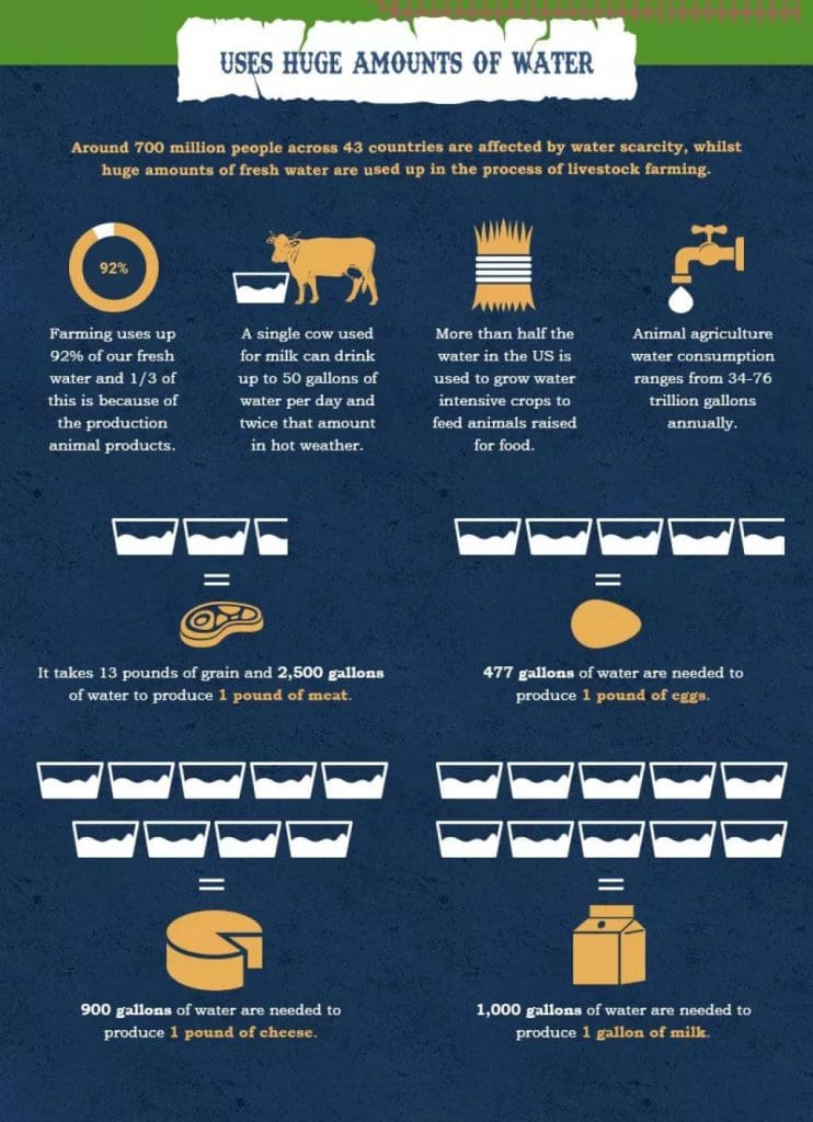 Eating Green: The Link Between Diet, Cruelty, and Environmental Impact 5 Eating Green: The Link Between Diet, Cruelty, and Environmental Impact June 2025